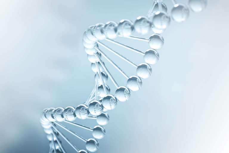 Histone und DNA: Die Schlüsselrolle bei epigenetischen Veränderungen